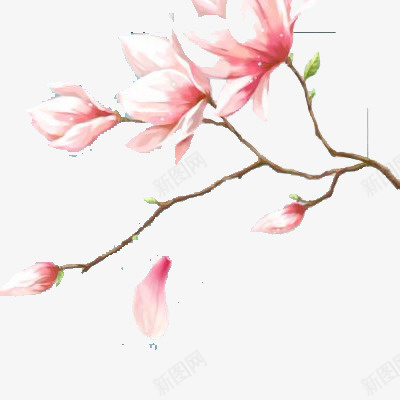 粉红色的花儿png免抠素材_新图网 https://ixintu.com 免抠 彩色 植物 花朵