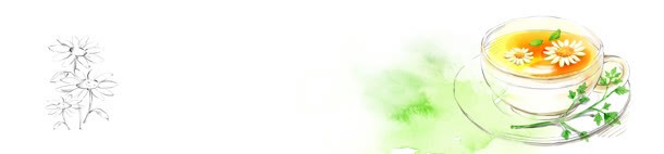 花茶手绘清新背景bannerjpg设计背景_新图网 https://ixintu.com banner 手绘 清新 背景 花茶