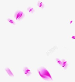 紫色花瓣装饰效果素材