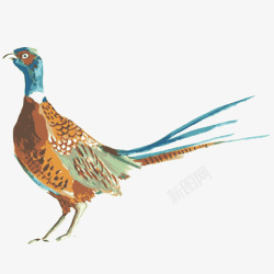 水彩手绘动物鸟素材