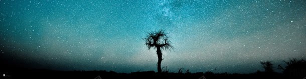 夜色美景jpg设计背景_新图网 https://ixintu.com 唯美星空 夜色 树 美景