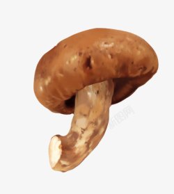 棕色香菇摄影图手绘香菇高清图片