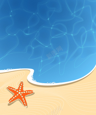 海星沙滩海报背景矢量图背景