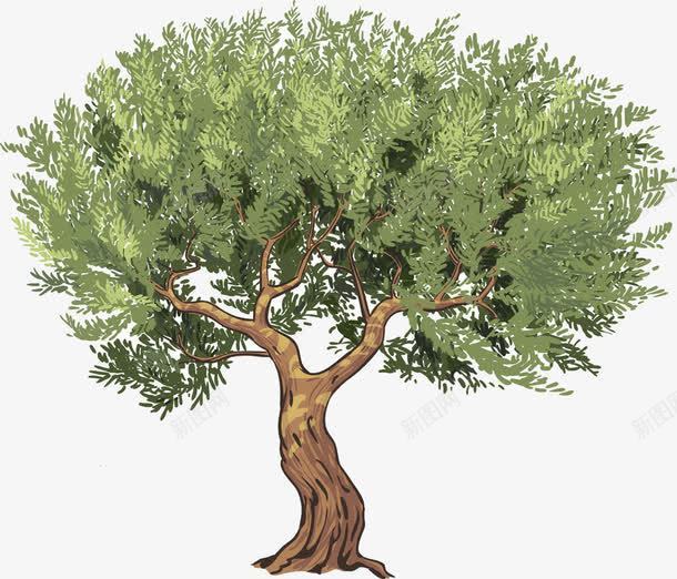 橄榄树手绘png免抠素材_新图网 https://ixintu.com 手绘 树 植物 橄榄树