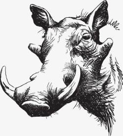 素描犀牛手绘牛高清图片