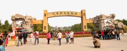 北京野生动物园风景图北京景点野生动物园高清图片