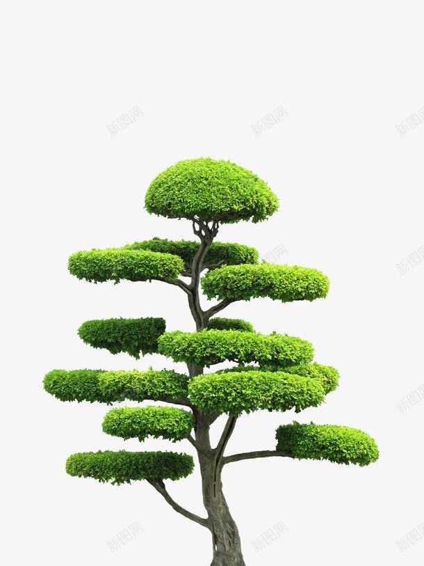 绿色堆叠分支景观树png免抠素材_新图网 https://ixintu.com 分支 堆叠 景观 绿色