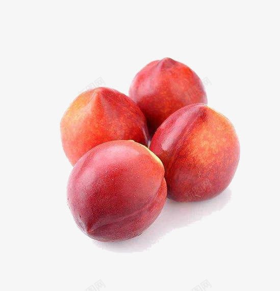 四个杏子png免抠素材_新图网 https://ixintu.com 杏子 果实 水果 红杏