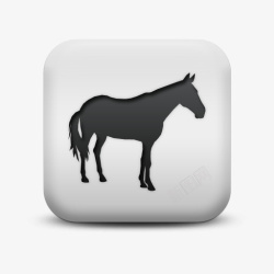 Horse不光滑的白色的广场图标动物动物高清图片