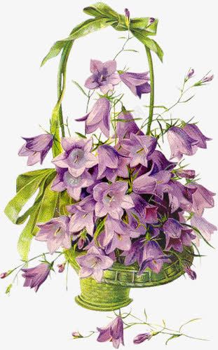 紫色花朵花篮png免抠素材_新图网 https://ixintu.com 紫色 花朵 花篮
