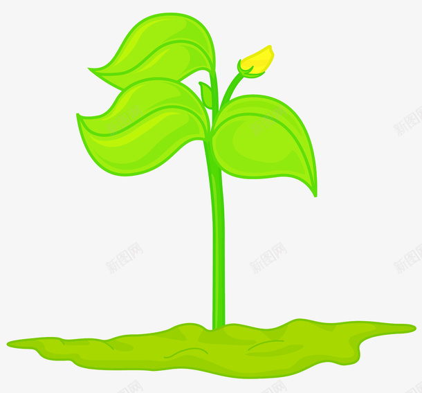 卡通绿色植物图png免抠素材_新图网 https://ixintu.com 卡通 叶子 土地 插图 植物 绿色的 花骨朵