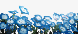 蓝色花丛矢量图素材