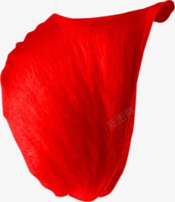 红色花瓣表面合成素材