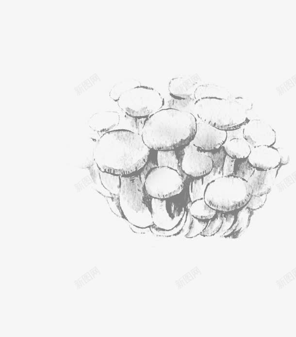 水墨透明蘑菇png免抠素材_新图网 https://ixintu.com 水墨 蘑菇 透明