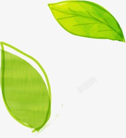 创意合成手绘绿色的树叶效果素材