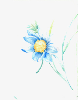 蓝色花卉素材