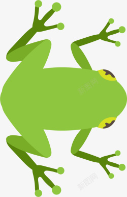 动画青蛙潜水的青蛙高清图片