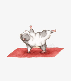 豚鼠小做瑜伽创意插画高清图片