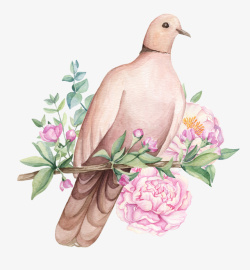 卡通手绘鸽子与花朵素材