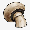 mushroom蘑菇水果蔬菜接下去的时间高清图片