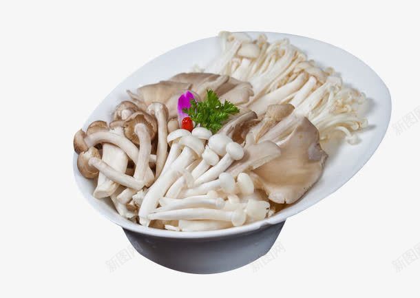 多拼鲜菇png免抠素材_新图网 https://ixintu.com 产品实物 拼盘 美味 蘑菇 金针菇 食材 鲜菇