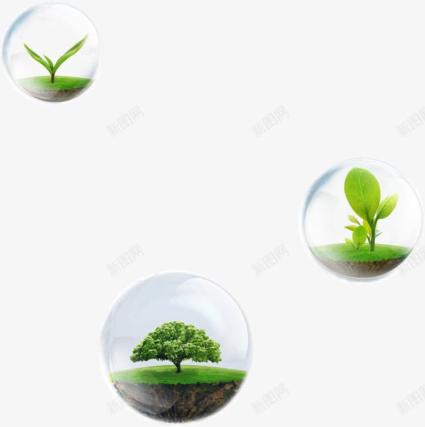 合成泡泡里的植物png免抠素材_新图网 https://ixintu.com 合成 植物 泡泡