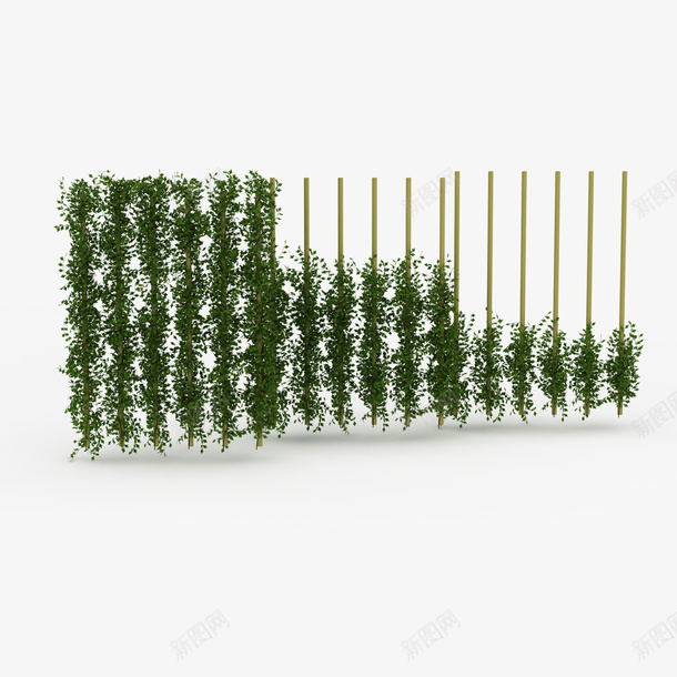 一个个鲜草绿色垂吊植物png免抠素材_新图网 https://ixintu.com 一个个鲜草绿色垂吊植物 垂吊 垂吊植物 植物 绿色植物 鲜草