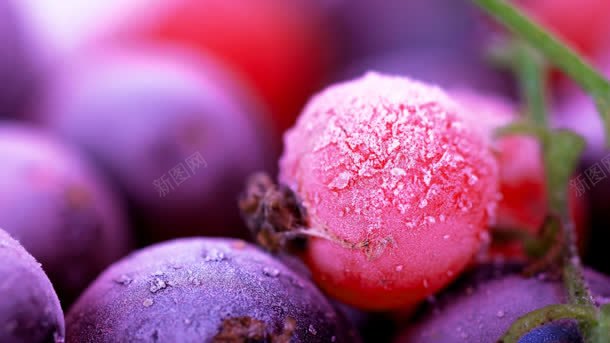 粉紫色水果冰花背景