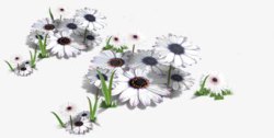 合成创意白色的花朵效果素材