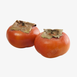 两个柿子实物两个红柿子高清图片