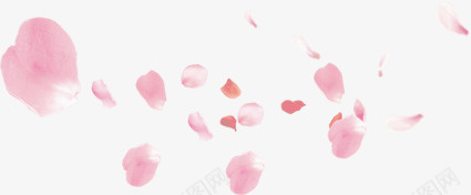唯美粉红色花瓣装饰png免抠素材_新图网 https://ixintu.com 唯美 婚礼 红色 花瓣