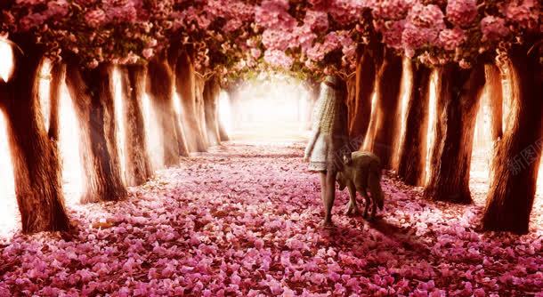 粉色花树林下的女孩海报背景背景