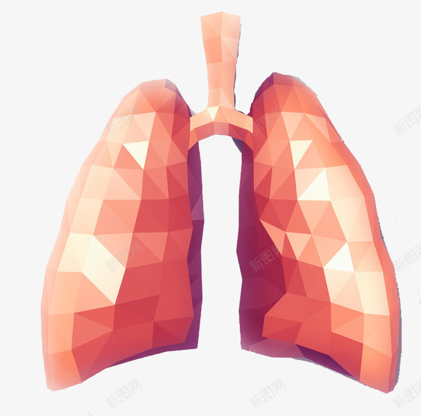 晶体亮色肺部png免抠素材_新图网 https://ixintu.com 健康 晶体色 肺部 远离吸烟