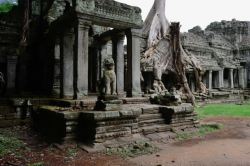 柬埔寨圣剑寺三素材