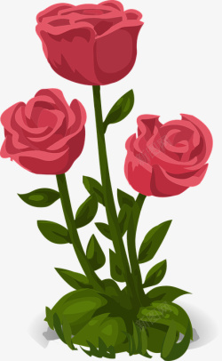 绿叶玫瑰花三朵红色的玫瑰花高清图片