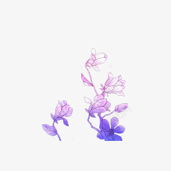 紫色玉兰花集市素材