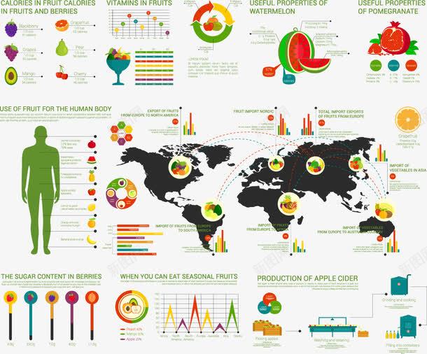 水果创意分析图表png免抠素材_新图网 https://ixintu.com PPT元素 世界地图 人体 分析图表 水果