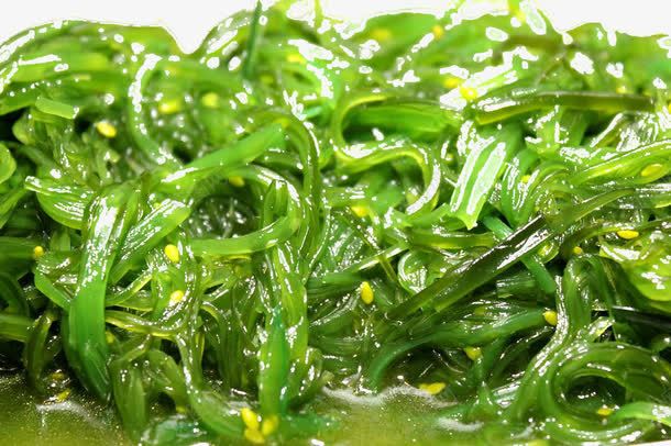 螺旋藻png免抠素材_新图网 https://ixintu.com 医疗 素食 绿色 营养 藻类 螺旋藻