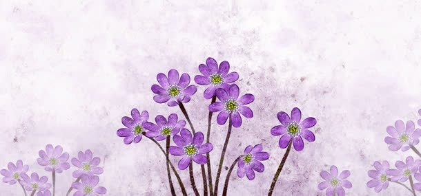唯美的紫色小花背景jpg设计背景_新图网 https://ixintu.com 手绘 植物 紫色 花朵