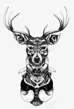 鹿头插画装饰画素材