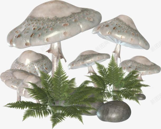 奇怪的蘑菇png免抠素材_新图网 https://ixintu.com 奇怪的 植物 菌类 蘑菇