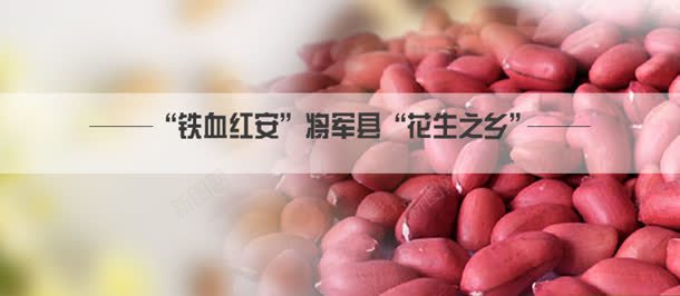 食品背景jpg设计背景_新图网 https://ixintu.com 健康 养生 红豆