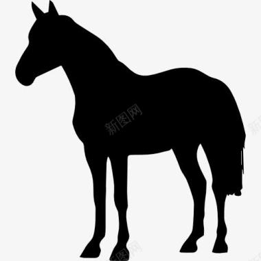 马站在黑色的形状图标图标
