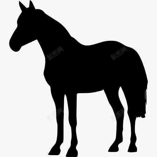 马站在黑色的形状图标png_新图网 https://ixintu.com 动物 形状 轮廓 马 马方认为 黑色