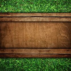 绿色木纹草地背景木板边框图案高清图片