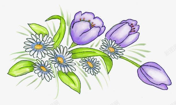 紫色郁金香和雏菊png免抠素材_新图网 https://ixintu.com daisy 图案设计 花 郁金香 雏菊