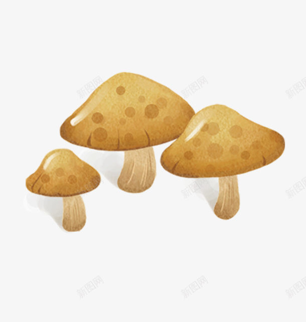 野生蘑菇psd免抠素材_新图网 https://ixintu.com 蘑菇 野生 食品 黄色