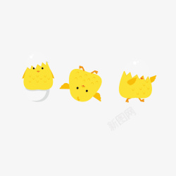 碎壳黄色卡通可爱小雏鸡矢量图高清图片