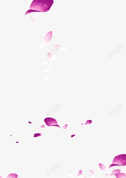 紫色花瓣png免抠素材_新图网 https://ixintu.com 艺术 花瓣 装饰 飘动