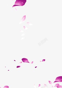 眼前飘动的花瓣紫色花瓣高清图片